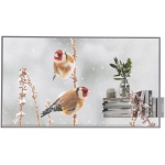 LG 樂金 55EW5P-M 55吋 EW5P系列 OLED 透明顯示屏